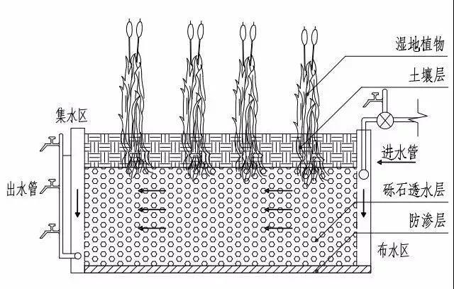 人工濕地污水處理工藝
